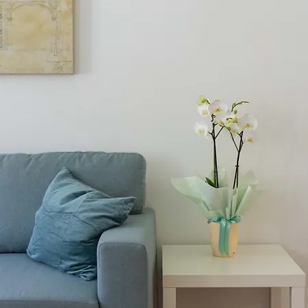 Sulis Rooftop Apartman